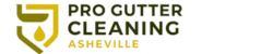 Pro Gutter Cleaning Asheville